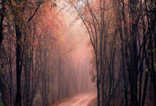 九游娱乐官方网站-当篮球悬停于命运之线：掘金绝杀荣光与判罚疑云的冰与火之歌