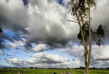 九游VIP-奥运会重磅对决：拜仁迎战曼城，死亡之组终局密码解锁！