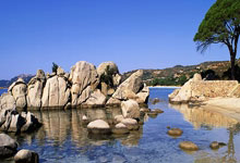 9you娱乐-波兰乒乓球队翻盘英国乒乓球队，王皓三分雨点燃全场